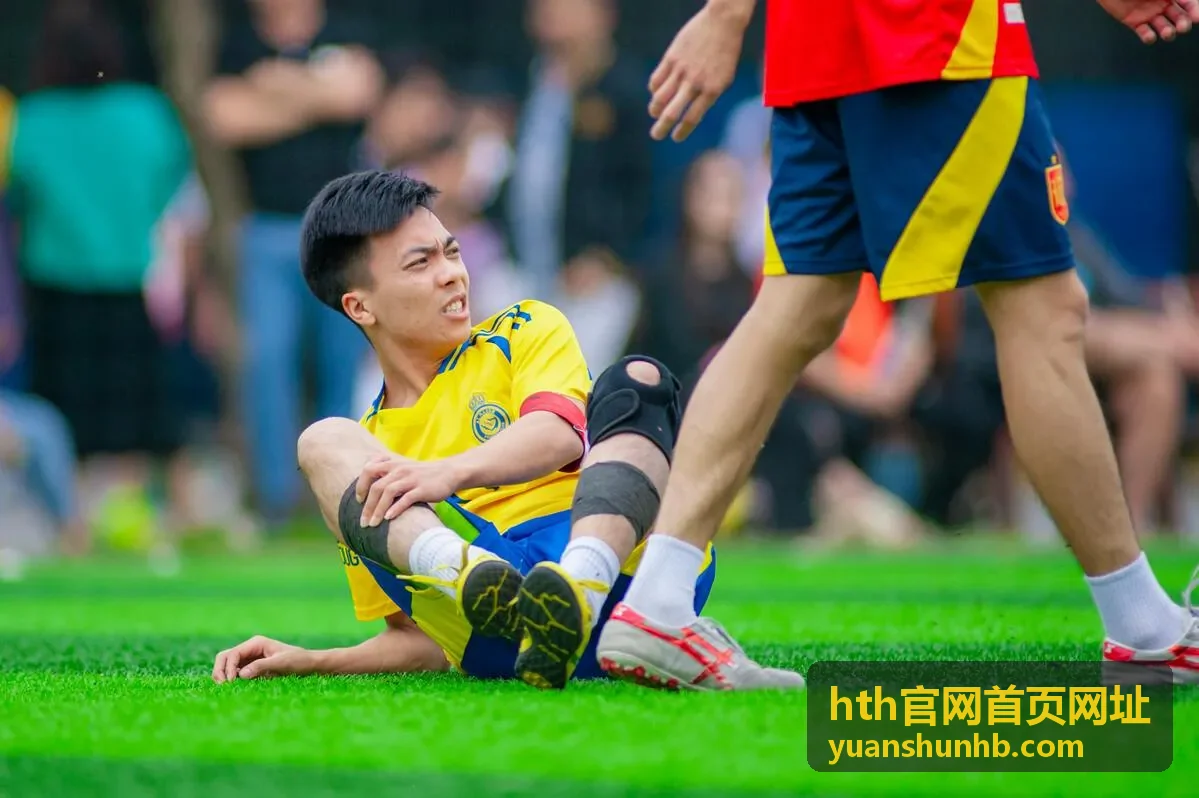hth官网入口说明栏目推荐背景图