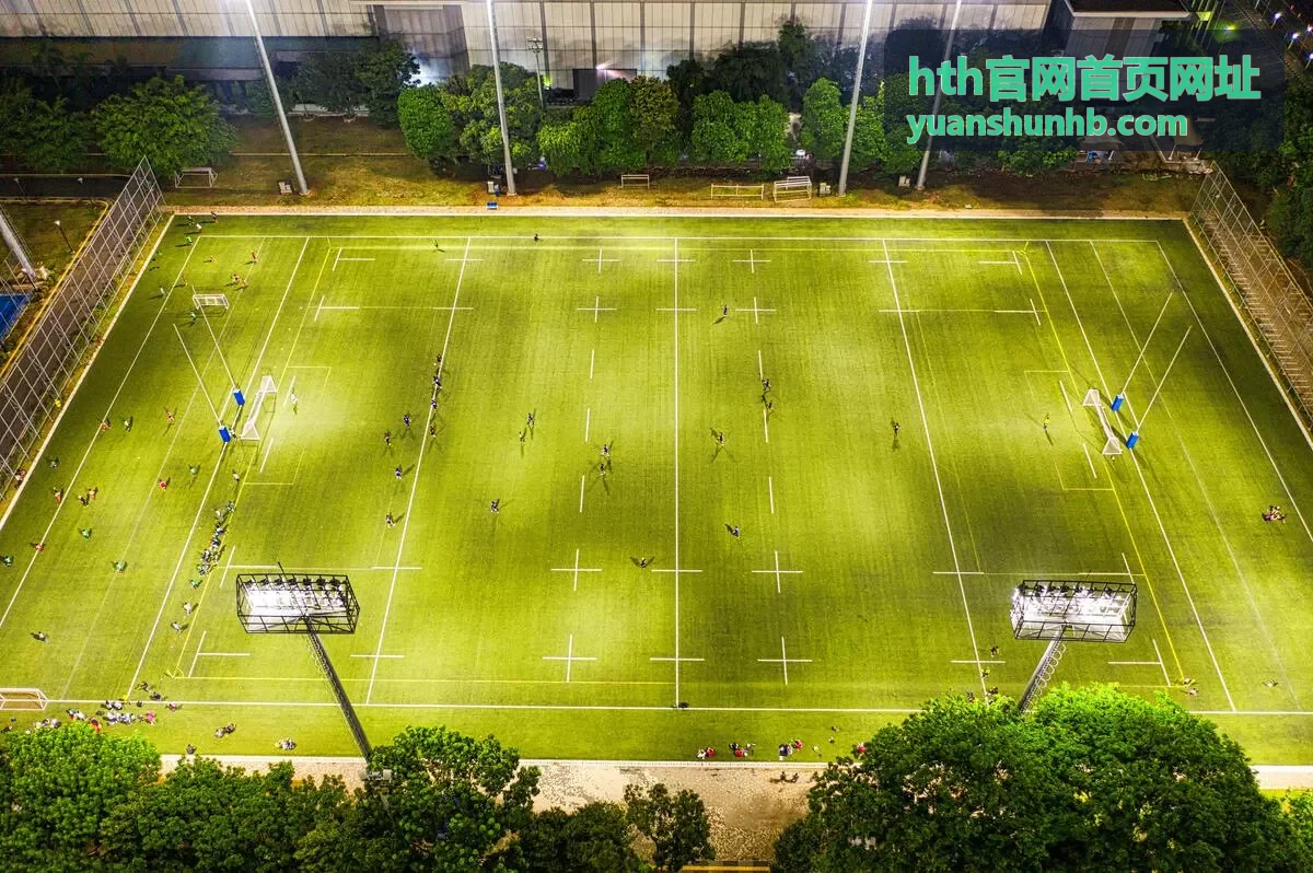 hth官网首页网址安全校验指引封面